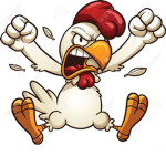 CrazyChickens