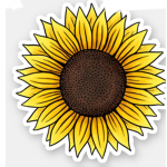 •~Sunflower Clothing~•
