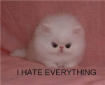 Emo and goth pplz group