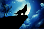 xoxo_wolf_gang_xoxo