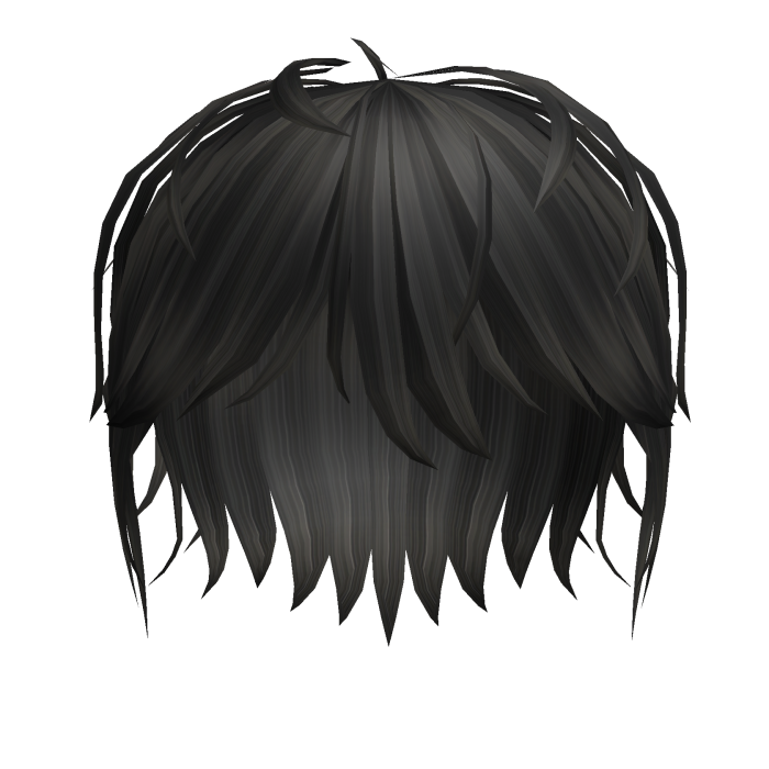 Black hair (mod cut)
