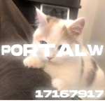 PortalW