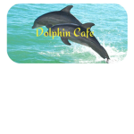 Dolphin Café©