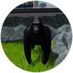 Big Gorilla Pet