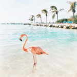 Pol's Clothing Group
