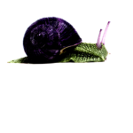 Snail Psychopathy