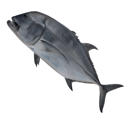 Strike Giant Trevally Fish Roblox item