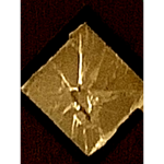 Qkaysengarner2567