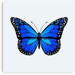 {Butterfly._.Squad}