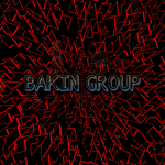 THE BAKIN ROBLOX GROUP