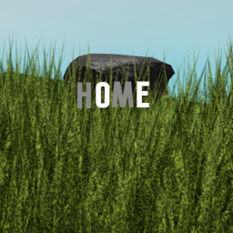 Home🗿