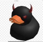 Ducky boi’s second group