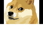 Dogs club and united