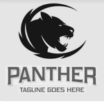 The Black Panthers Studio