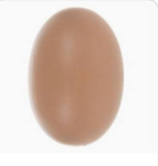 Egg mark