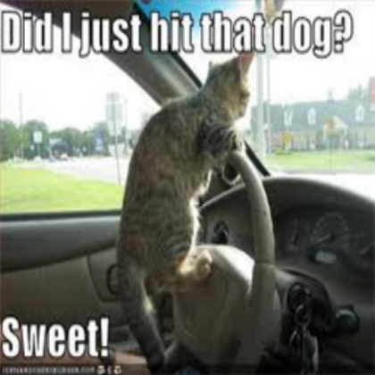 Did i just hit that dog? sweet!!! Roblox decal