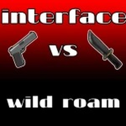 Interface