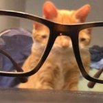 mimissi