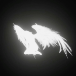 Y4R4