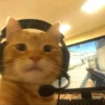 Ultra Down Bad Studios Group Thumbnail