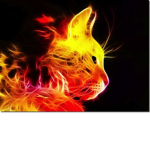 Inferno Cats