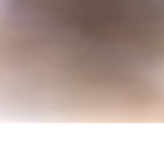 The Robux Creator Crew