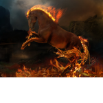 Thunder Hooves Riding Academy