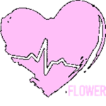 Flowing Flower Studios