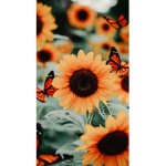 ~Sun Flower Squad~