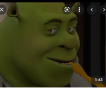 Shrek’s Baddiesss