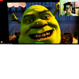 OHIO shrek RUNNNN!!!!!!