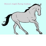 Brook Stables