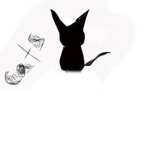 CATS RAID