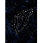 the galexy wolf