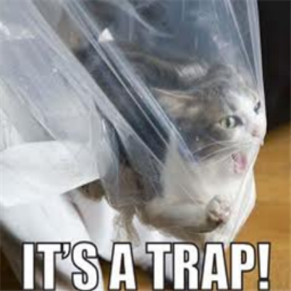 Funny Cat-It's a trap! Roblox decal