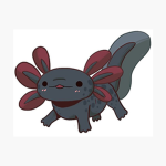Confidentaxolotls