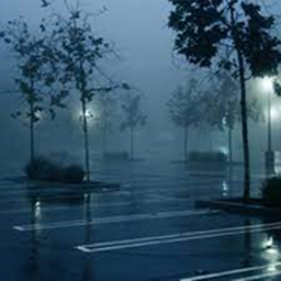parking lot Hangout NEW