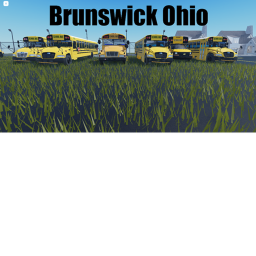 [ACTSD ARCHIVE] Brunswick Ohio