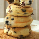 Doggys unite!