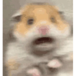 Those turtlez