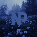 Nox's place