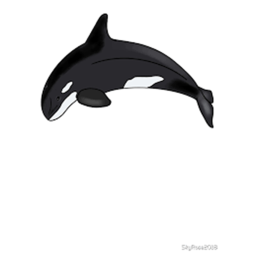 Orca Bay (rp) New!!!