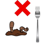 dont eat worms
