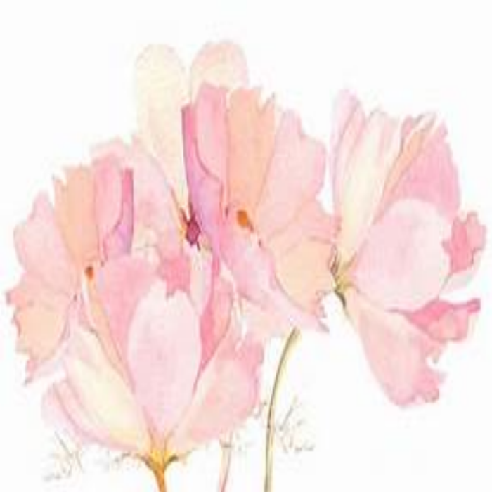 Pastel Pink Flowers Roblox decal