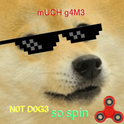 DO THAT DOGE OBBY [FINISHED!]