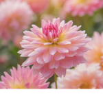 Fl0wers Group