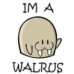 Im A Walrus