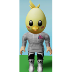 ducks of Roblox.