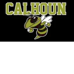 Calhoun Yellow Jackets. icon