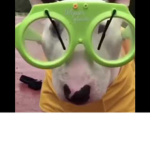 Swag walter